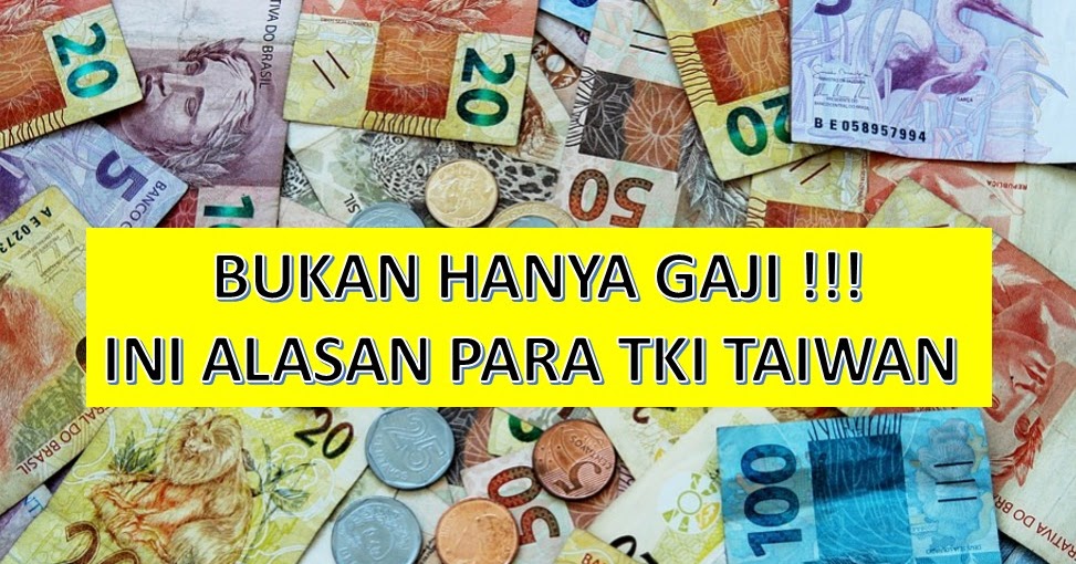 Bukan Hanya Gaji Ini Alasan Para Tki Taiwan Pakar Dokumen