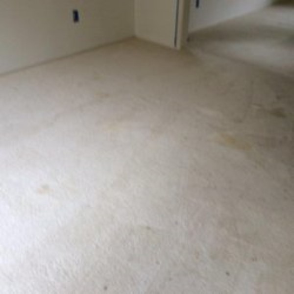 Portable Carpet Cleaners vs Truckmount carpet cleaners