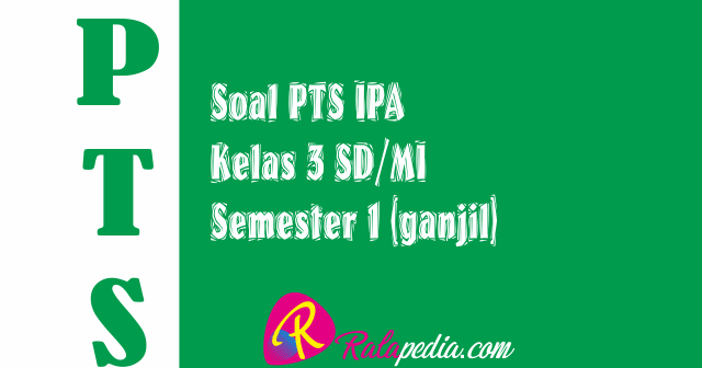 Soal Penyesuaian Makhluk Hidup Isian Singkat Kunci Jawaban Esps
