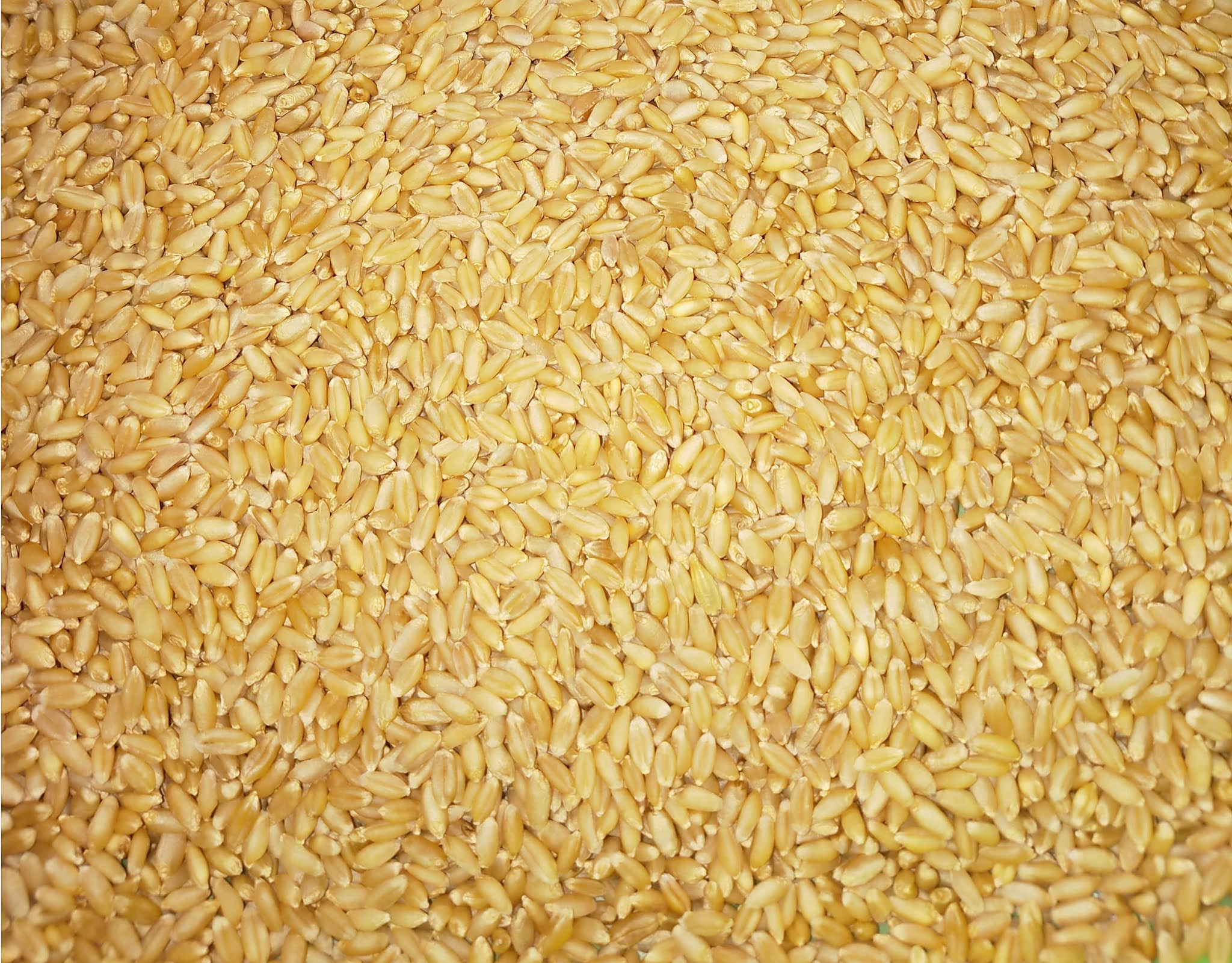 know about kannada and Karnataka Cereals and grains in kannada and