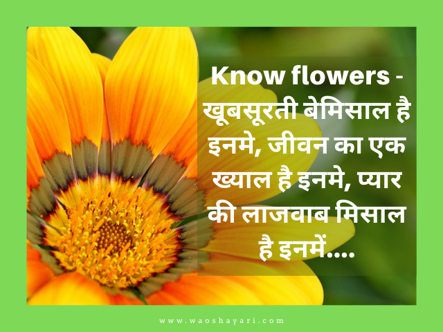 good morning flowers images for whatsapp status best status good morning message