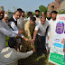 فیصل آباد : اعجاز نوری فاؤنڈیشن کے زیر اہتمام شجر کاری مہم