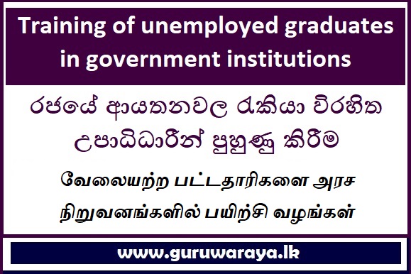 Training of unemployed graduates