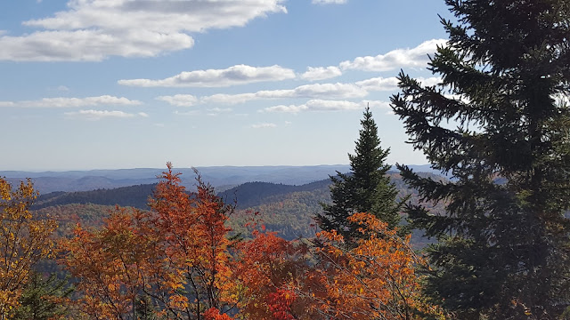 Vue panoramique au sommet du Mont-107