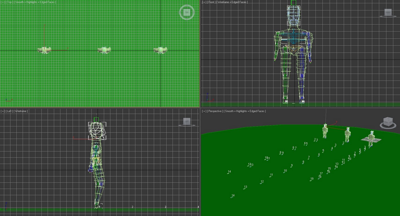 3D Modelling and Animation