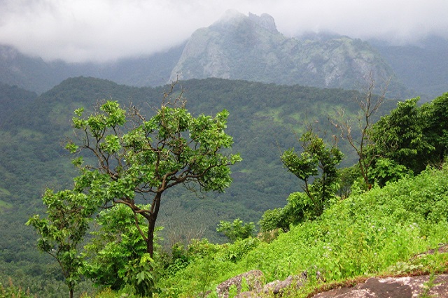  the South Indian dry soil of Kerala has been blessed several natural wonders Place to visit in India: Top five Trekking Trails inwards Kerala 