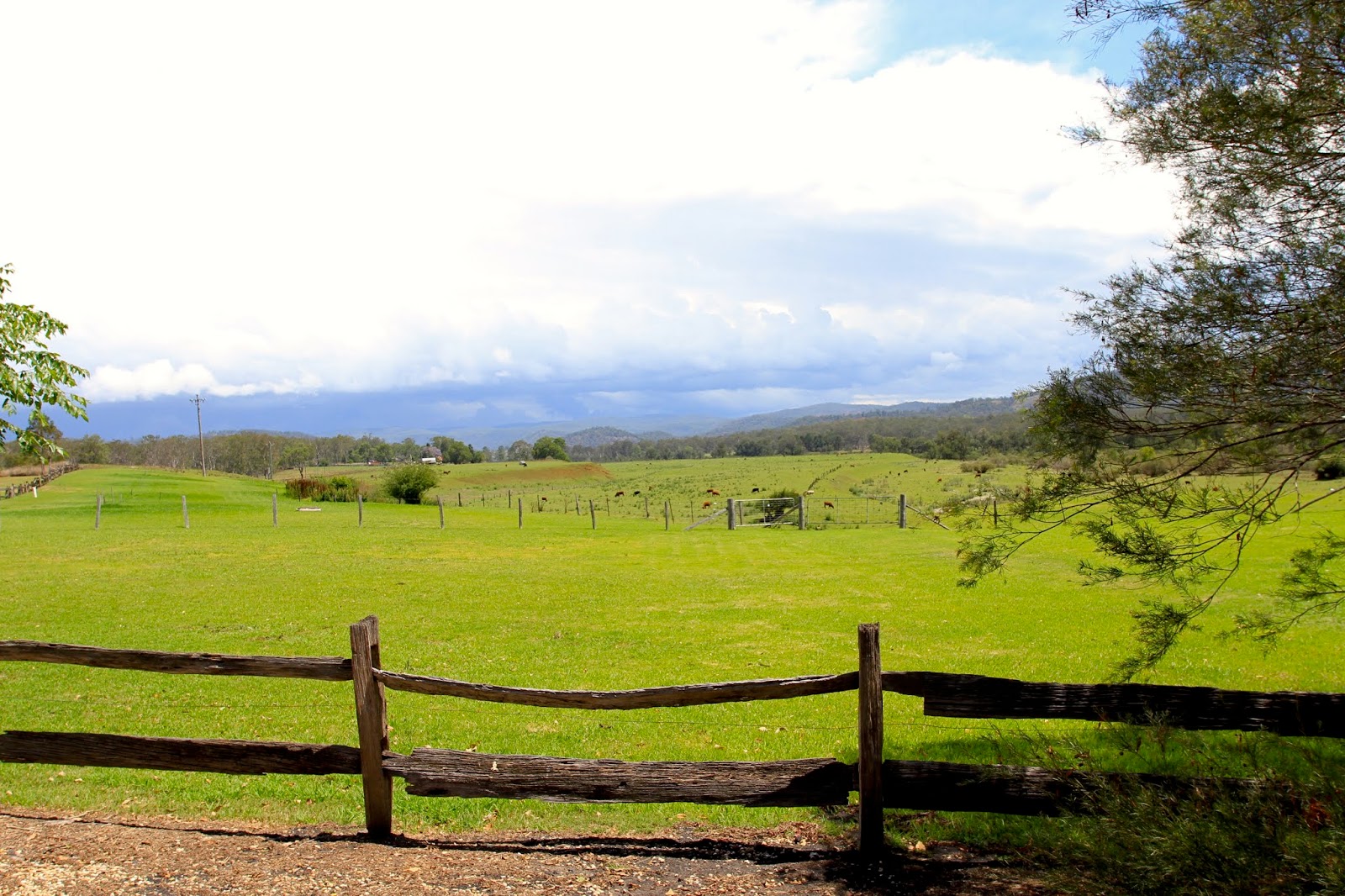 WOOLGOOLGAOFFROAD THE NAMBUCCA VALLEY