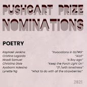 Lucky Jefferson: PushCart Prize Nomination