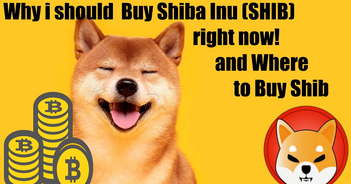 shiba inu crypto where to buy