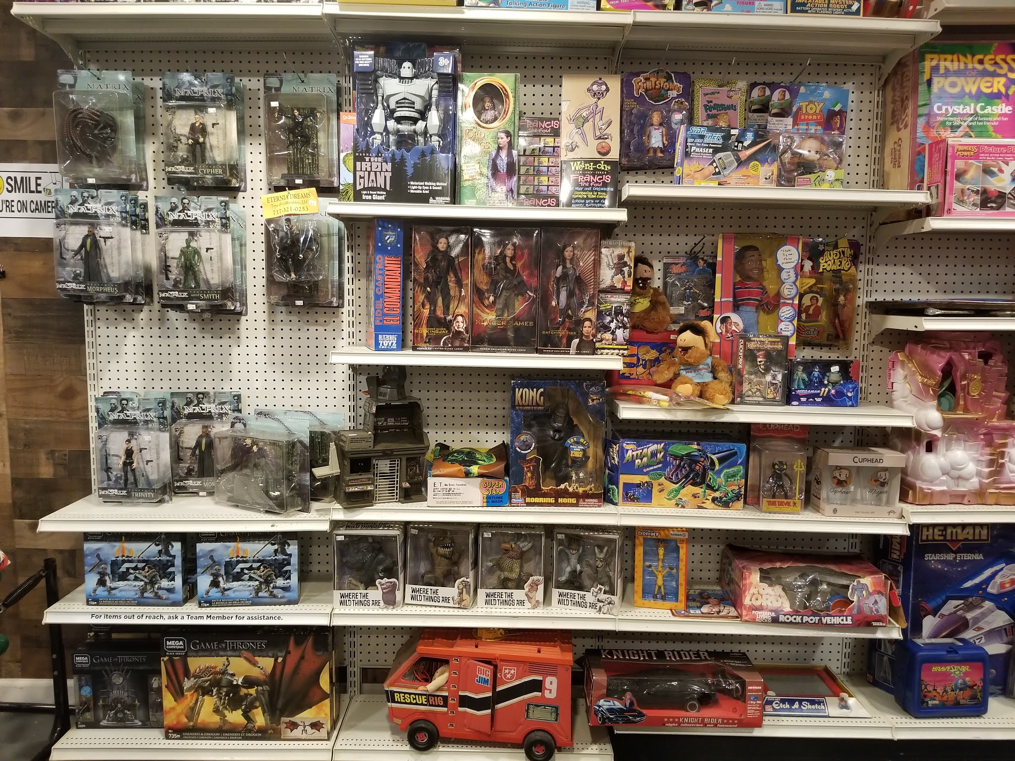 The Toy Box Eternia Dreams Vintage Toy Store