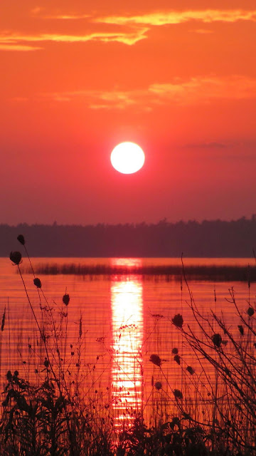 Sunset Lake iphone wallpaper image