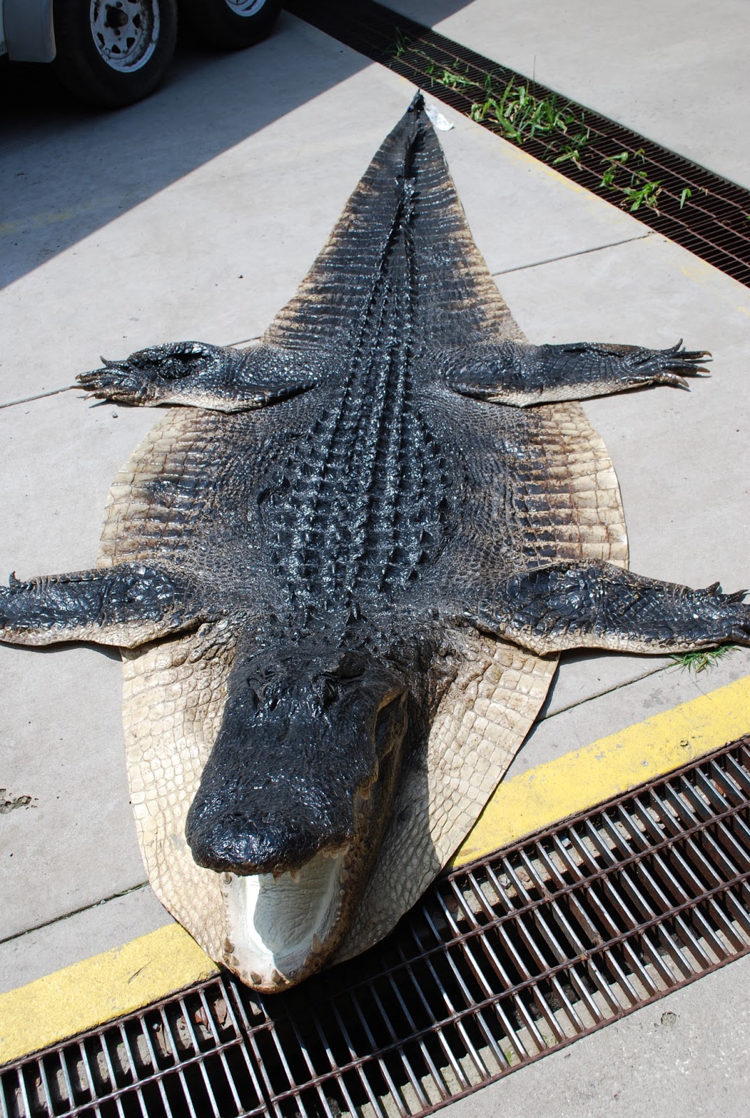 Cordray's: Folks are beginning to get their calls from Cordray's ...