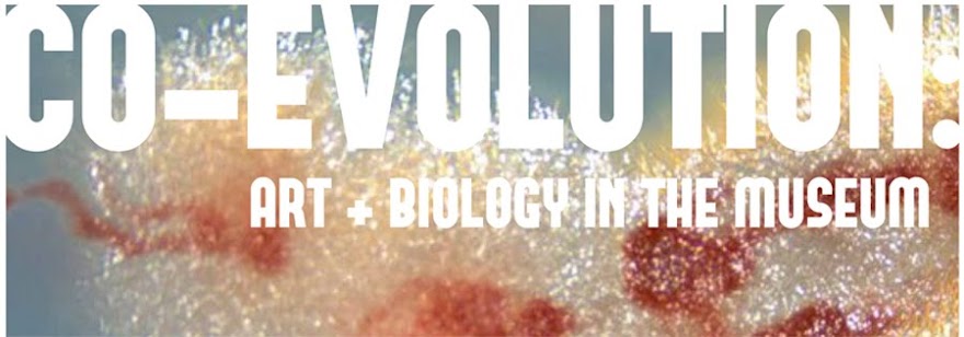 CO-EVOLUTION: Art + Biology in the Museum