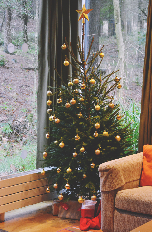 Christmas Tree in CenterParcs Lodge