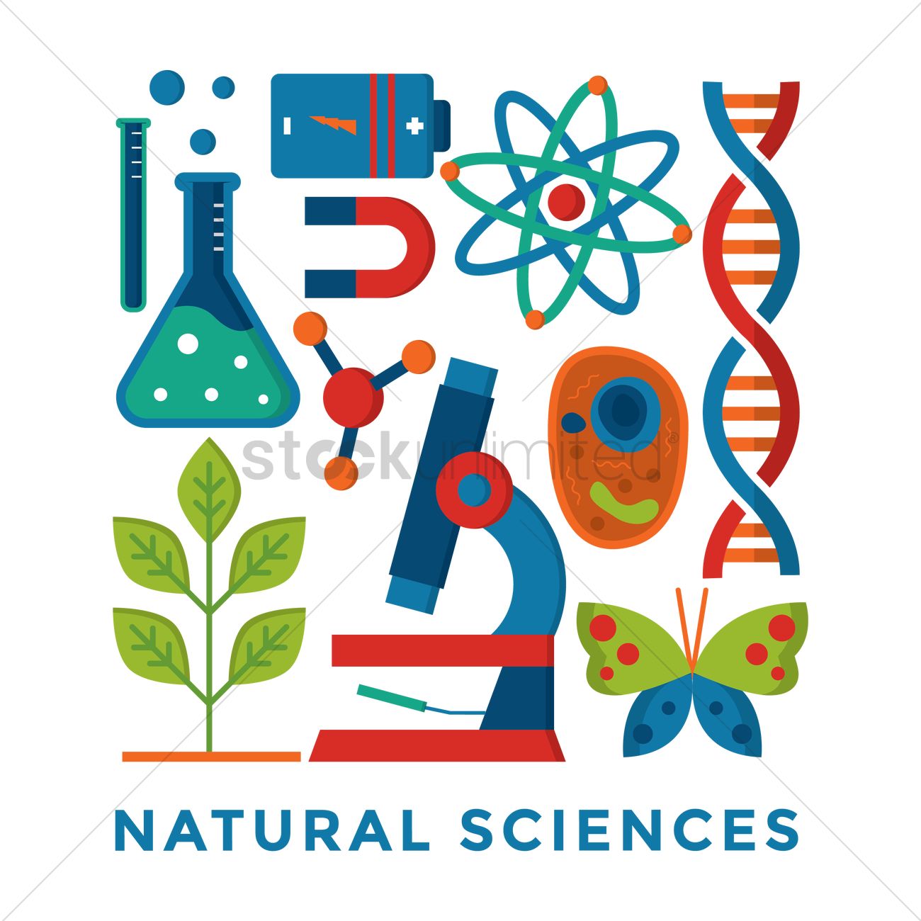 Clase de 3ºB REFUERZO Y APOYO NATURAL SCIENCE