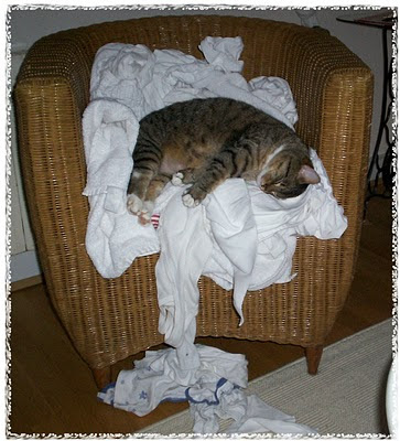 Gartenhäuschen: wäsche falten.. aber doch nicht heute!