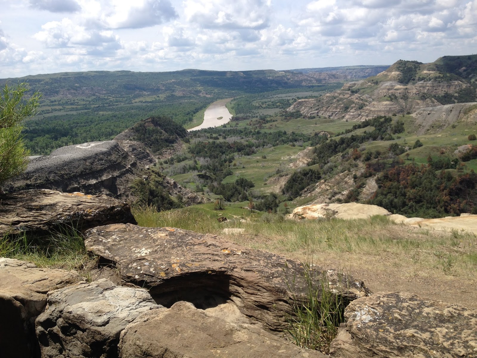 vividreports Lemmon, SD