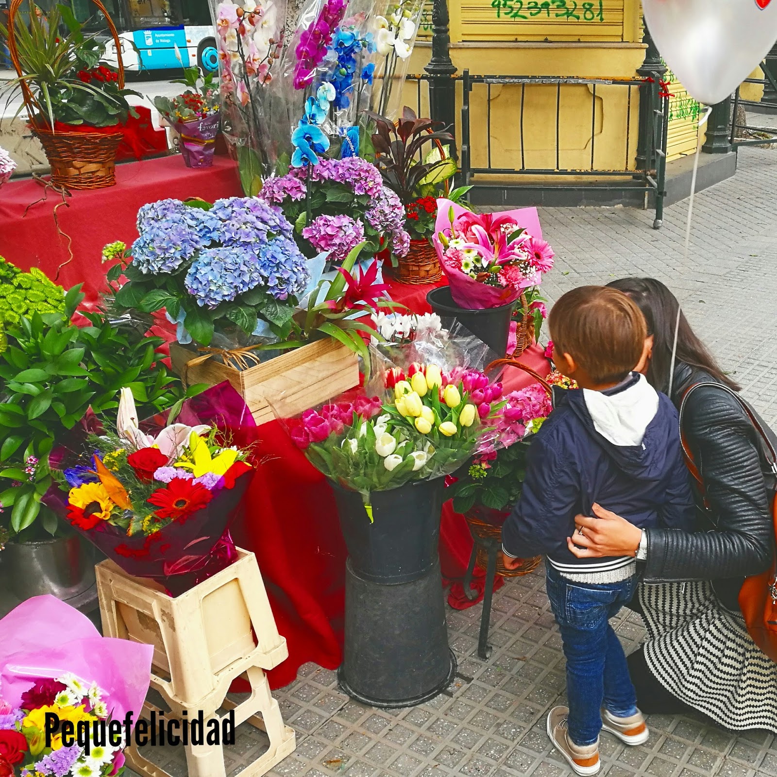 PEQUEfelicidad: FLORES: 23 ACTIVIDADES Y MATERIALES MONTESSORI