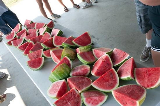 Watermelon Eating Contest Rules