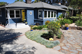 Organizing Made Fun: Front Yard Amazing Flower Update