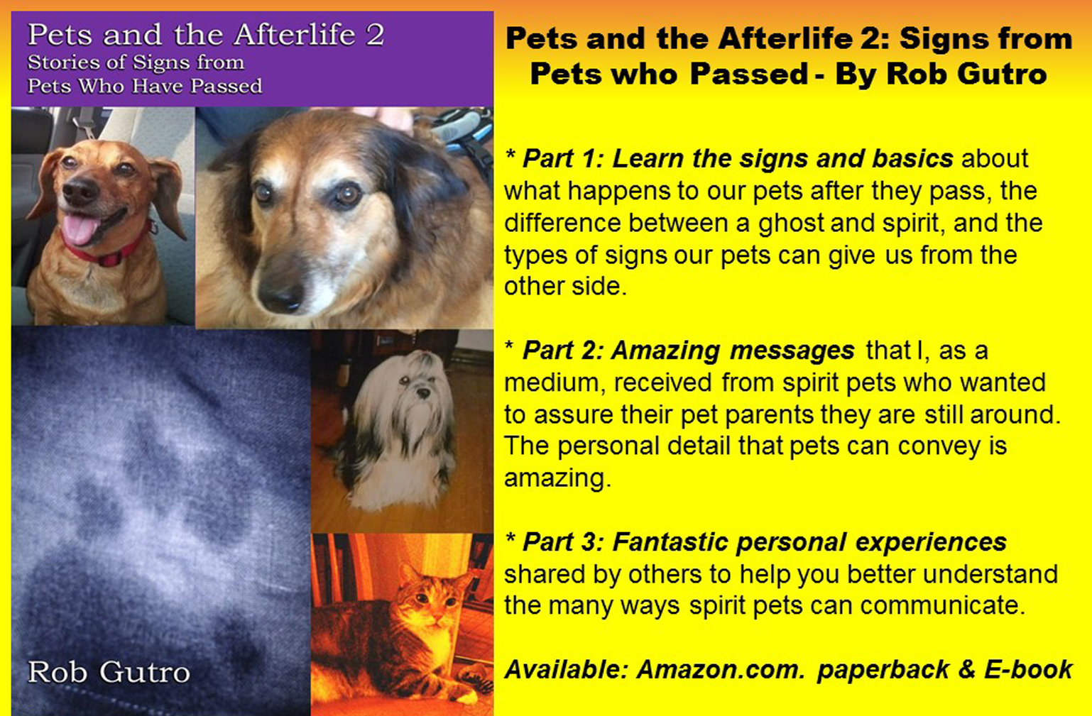 The OnLine Buzzletter Pets and the Afterlife 2 is now Published!