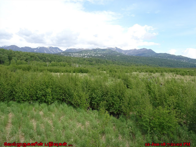 Seward Highway Attractions