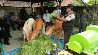 Mesin Pengolahan Sampah Organik / Kompos - Pakan Ternak