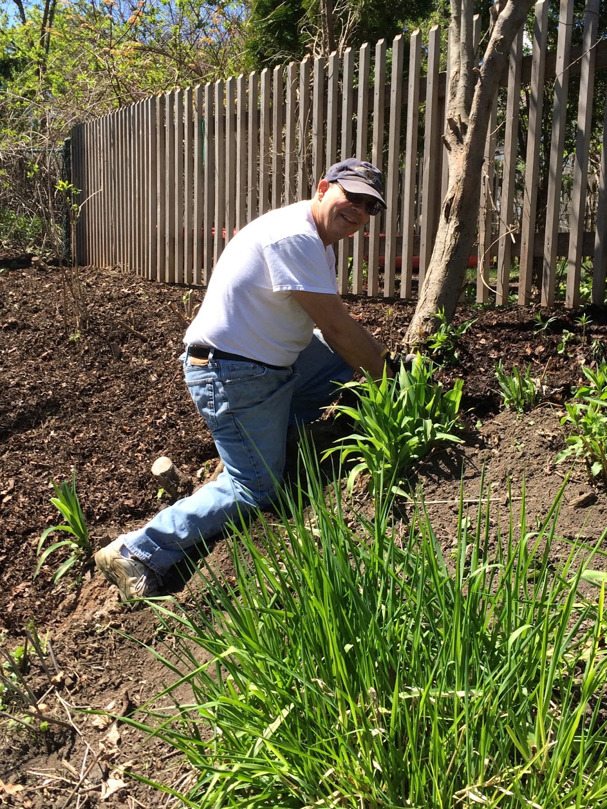 Prospect Gardens Experiences and Reflections Mulch King and His Court