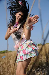 Tapsee Stills From Daruvu [Andhrula Music]