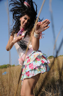 Tapsee Stills From Daruvu [Andhrula Music]