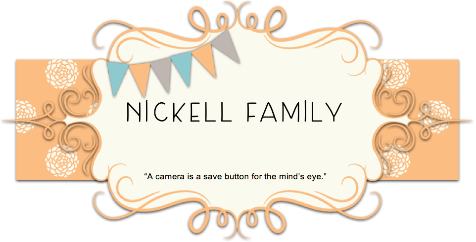 Nickell's Picture a Day