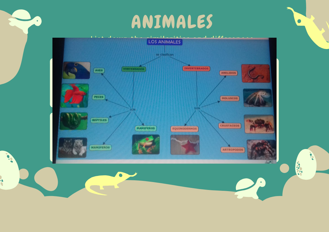 El mundo fantastico: LOS ANIMALES VERTEBRADOS E INVERTEBRADOS