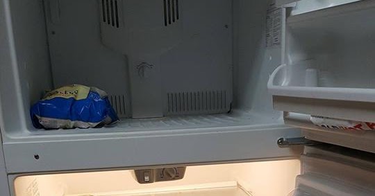 Just Sayin': Home health aide sees empty fridge, fills it