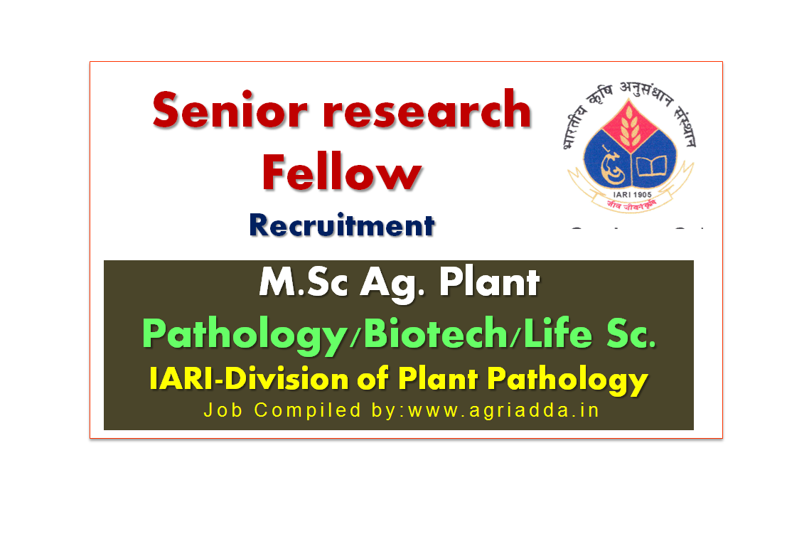 Senior Research Fellow Division of Plant Pathology IARI Agriculture