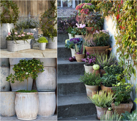 Blog Marrazzo S Manor Lane Florist Yardley Pa