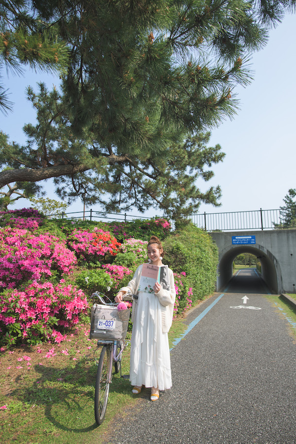 Roses Du Jardin Cheneland Hydrangea Paniculata Kyushu