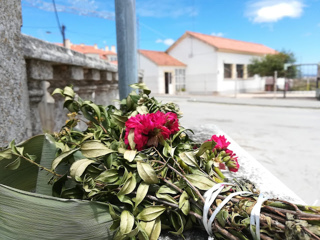 notebook é quase são joão e não parece notebook é quase são joão e não parece