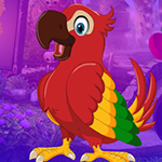  Games4King - G4K Lovable Parrot Escape