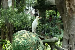 taman burung tmii jakarta