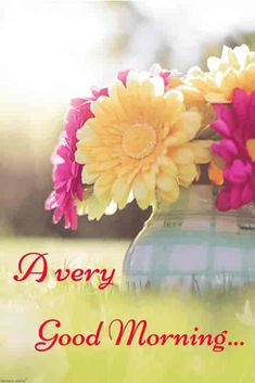 good morning flowers images