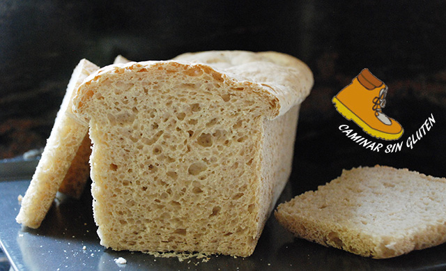 Guía para hacer pan sin gluten en panificadora casera - Cocina y Aficiones