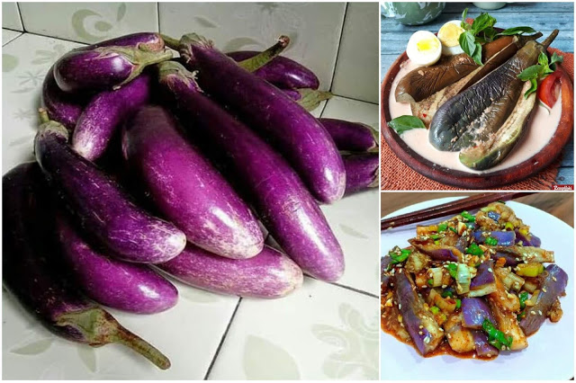 Rugi Kalau Ngga' Suka Makan Terong, Berikut 8 Manfaat Makan Terong Untuk Kesehatan