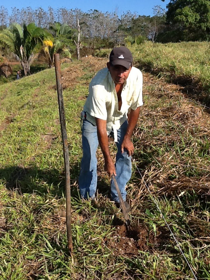 Costa Rica Invest Jatropha planting in NatureWalk