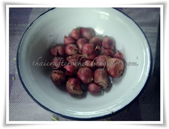 Chiang Mai Food & Travel