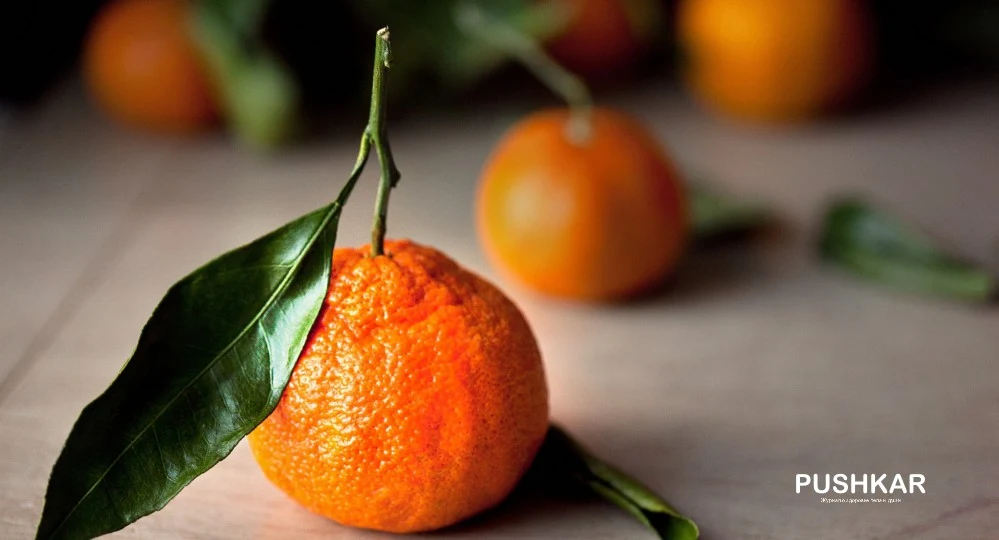 УПРАВЛЕНИЕ ВЕСОМ. ПОХУДЕНИЕ И ВОССТАНОВЛЕНИЯ ЗДОРОВОГО ОБМЕНА ВЕЩЕСТВ.