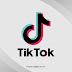 Download Tik Tok Vector Logo