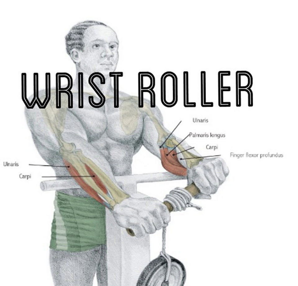 wrist roller Everything About Fitness