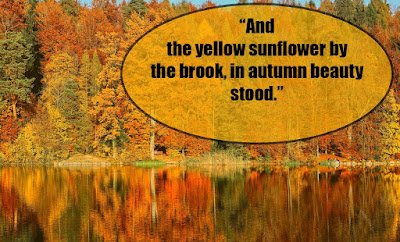 Autumn quotes - quotes about autumn