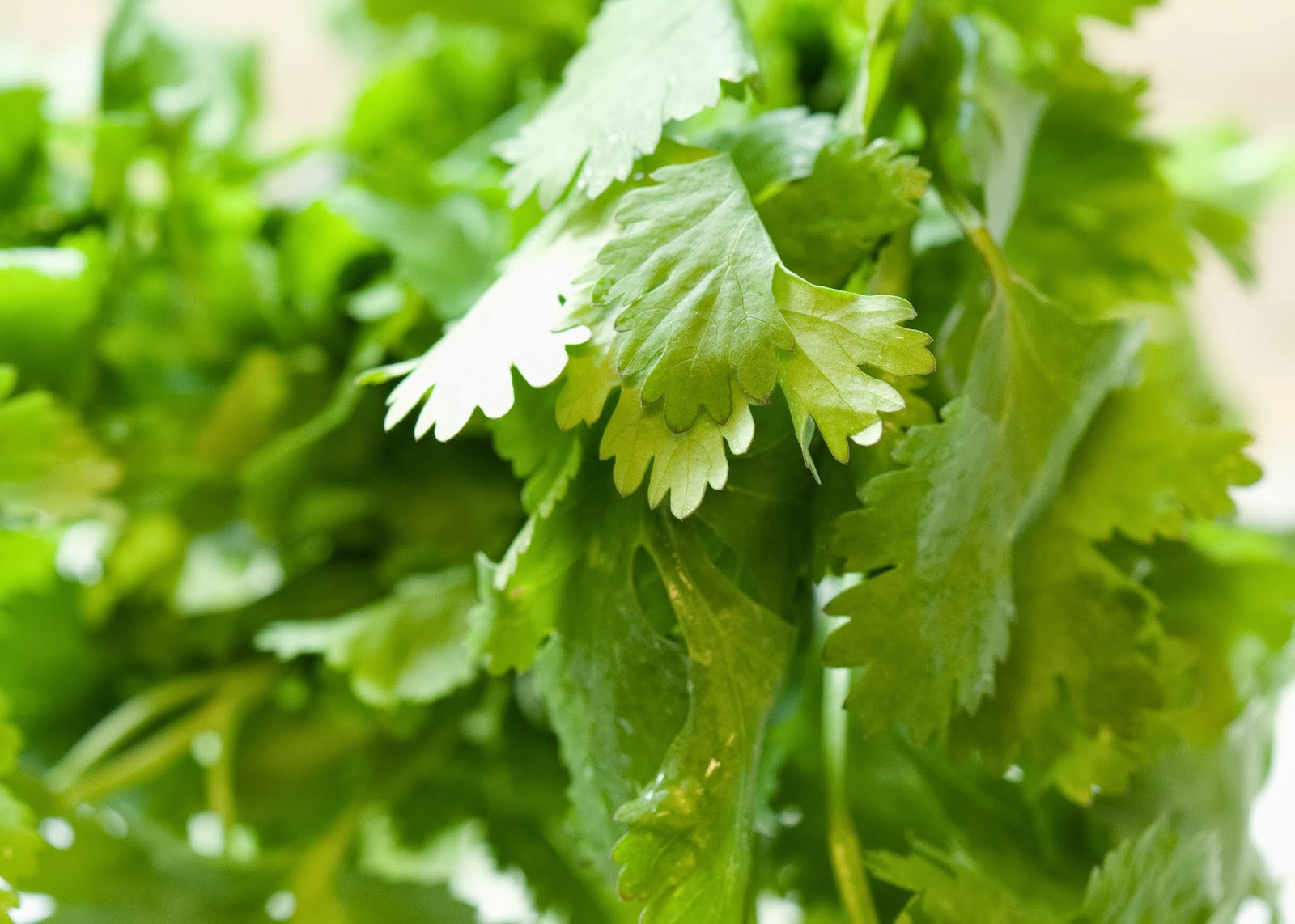 Home Remedies Natural Herbal Remedies Home Remedies Look Home