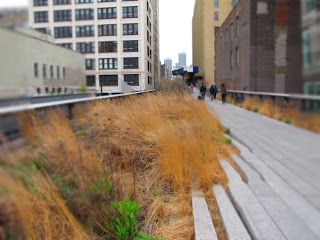 New York _High Line